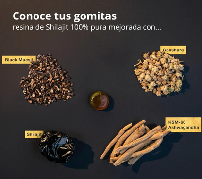 Shilajit® – Gomitas de Energía del Himalaya